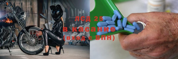 мдпв Каменка