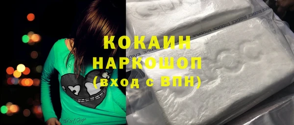 мдпв Каменка