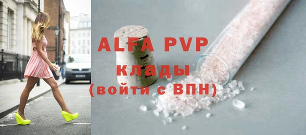 мдпв Каменка