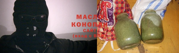мдпв Каменка