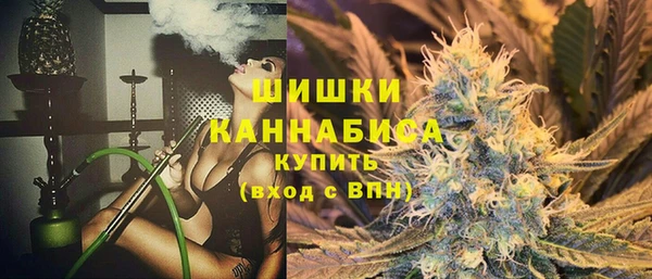 мдпв Каменка