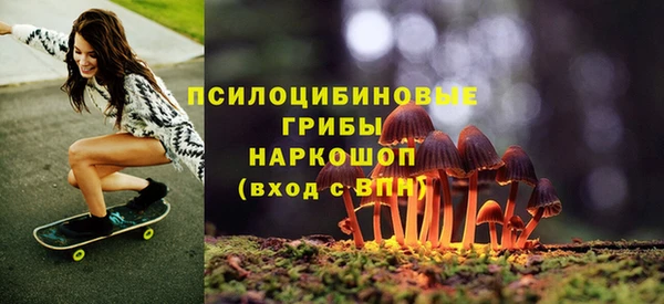 мдпв Каменка