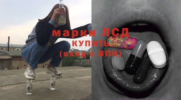 мдпв Каменка