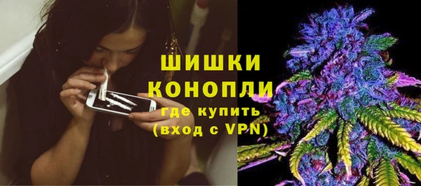мдпв Каменка