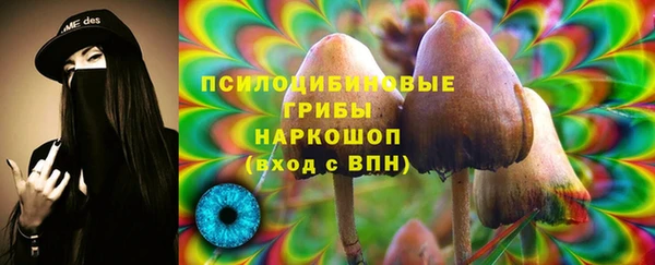 мдпв Каменка